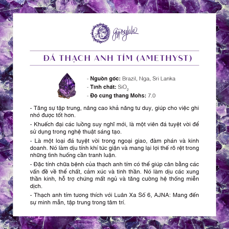 Bông Tai Round Đá Thạch Anh Tím Thiên Nhiên Năng Lượng Tập Trung SP004657 Gypsy.lala
