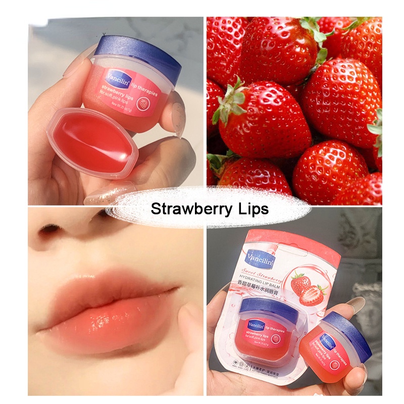 Dưỡng môi VANCILIN 7g dạng hũ LOẠI RẺ cho KHÁCH SỈ đủ vị  Sáp Son Dưỡng Môi VANCILIN Mang Lại Làn Môi Mềm