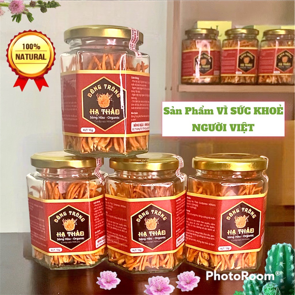 Đông Trùng Hạ Thảo Sấy Thăng Hoa - Đông Trùng Hạ Thảo Thượng Hạng