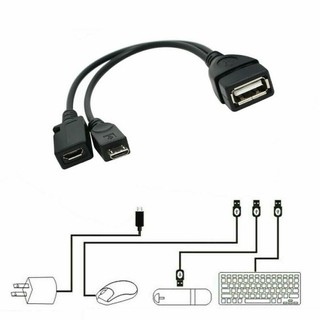 Dây Cáp OTG Cổng Micro USB 4K Cho TV Amazon Firestick