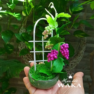 Hoa Đất Sét Mini- Giàn Nho 15cm