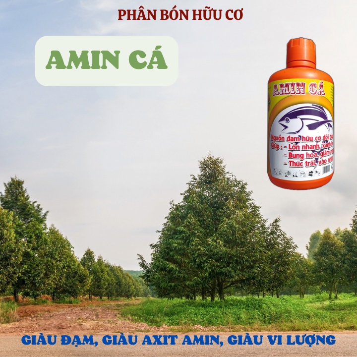 GIẢM RỤNG VÀ BÓNG TRÁI -  AMIN CÁ ĐẬM ĐẶC- Chai 1L