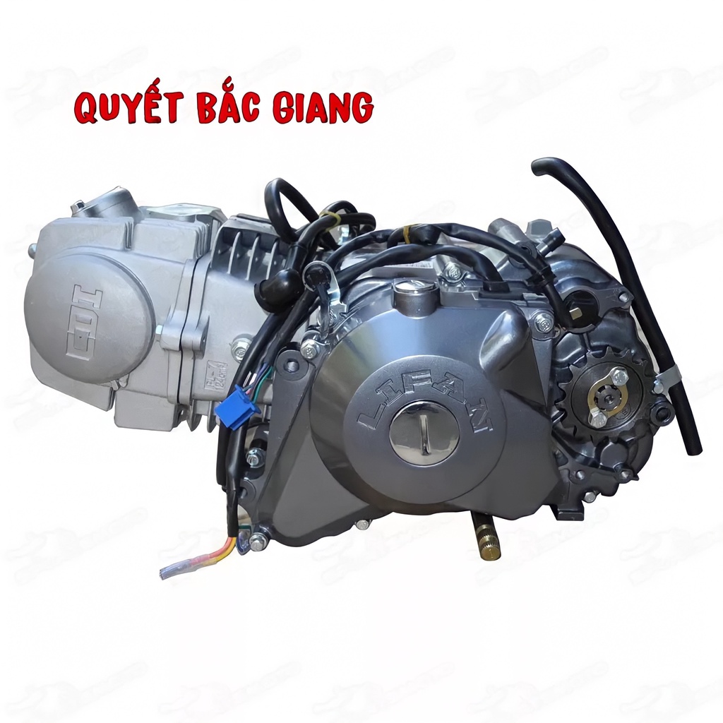 Động cơ Lifan 125cc Côn tay Đề gầm