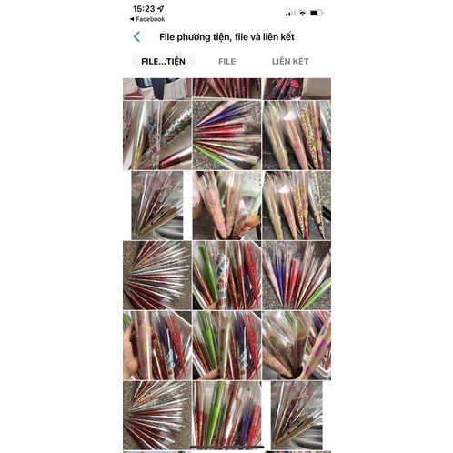 100 vỏ ốc quế các màu