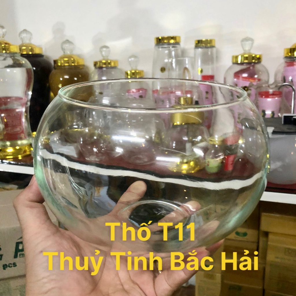Mẩu T11 - Bầu Bèo, Thố, Chân Ly , Chậu , Bễ , Hồ Thủy Tinh Trồng Cây Thủy Sinh Và Nuôi Cá