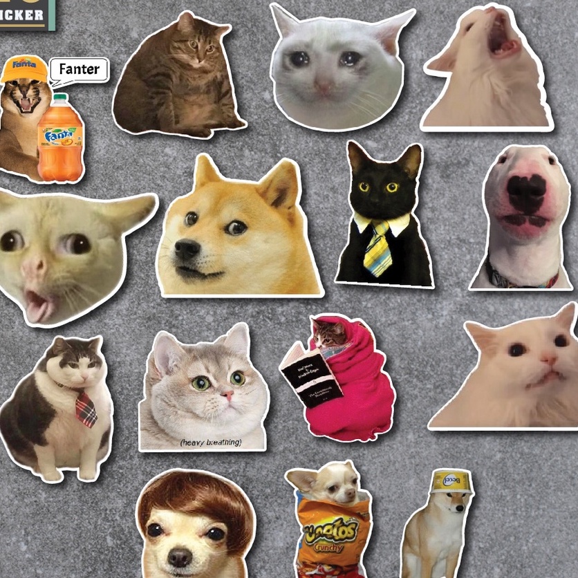 Combo 50 Sticker Meme chống nước sticker dán laptop, điện thoại, đàn guitar, mũ bảo hiểm, vali.