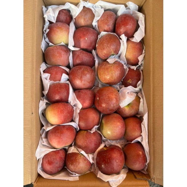 Táo đá giòn ngọt