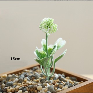 Sen đá giả hoa chùm SEN15 sen đá nhân tạo trang trí để bàn chụp ảnh nhà cửa hàng decor vintage sự kiện