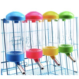 BÌNH NƯỚC GÀI CHUỒNG 350ML - 500ML