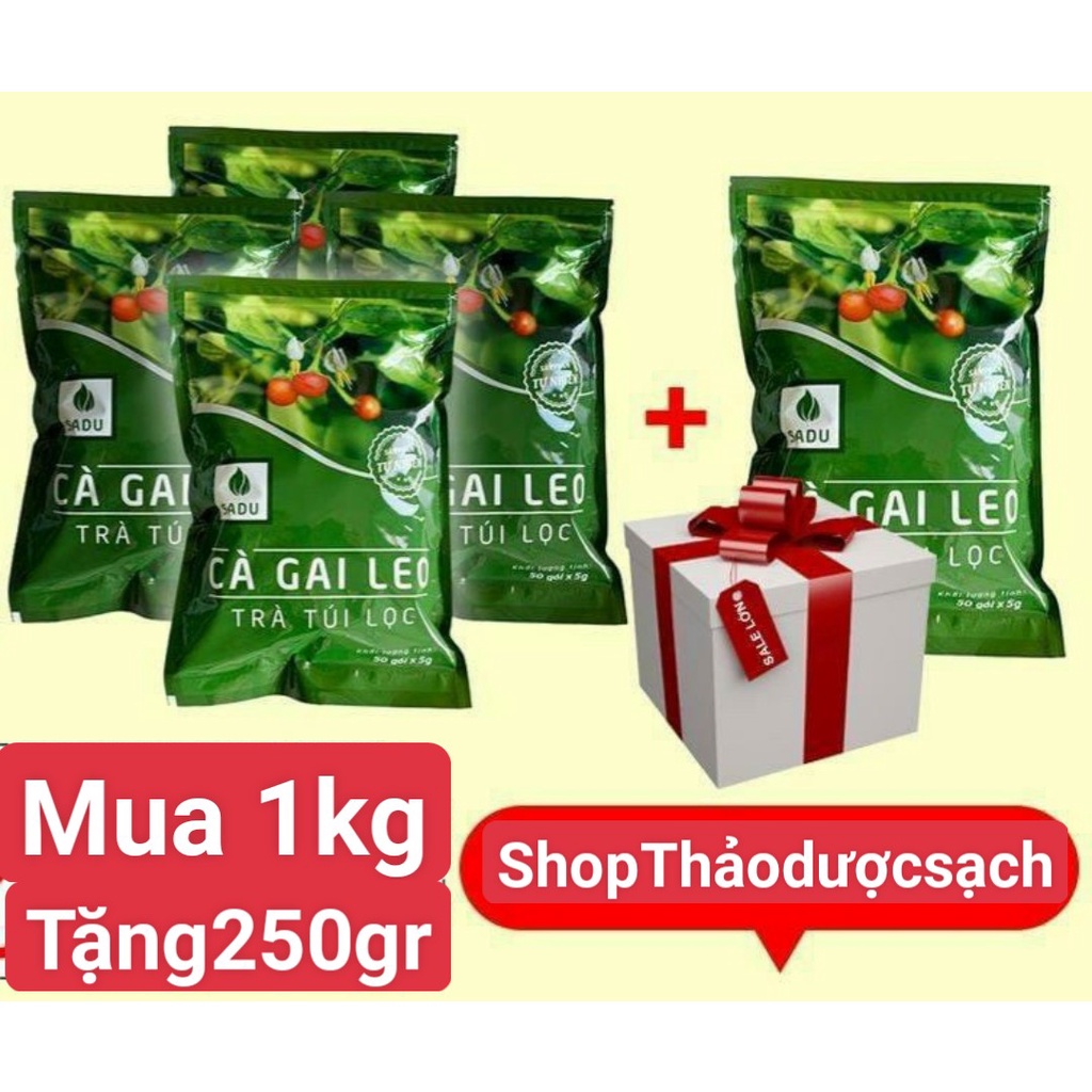 Mua 1kg tặng 250g trà cà gai leo túi lọc Sadu mát gan thải độc gan