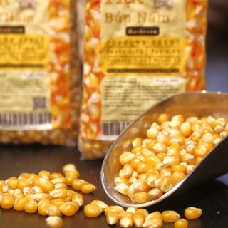 Bắp Nấm, Bắp Bướm chuyên nổ USA - JUMBO MUSHROOM POPCORN G500gr The Nuts Valley