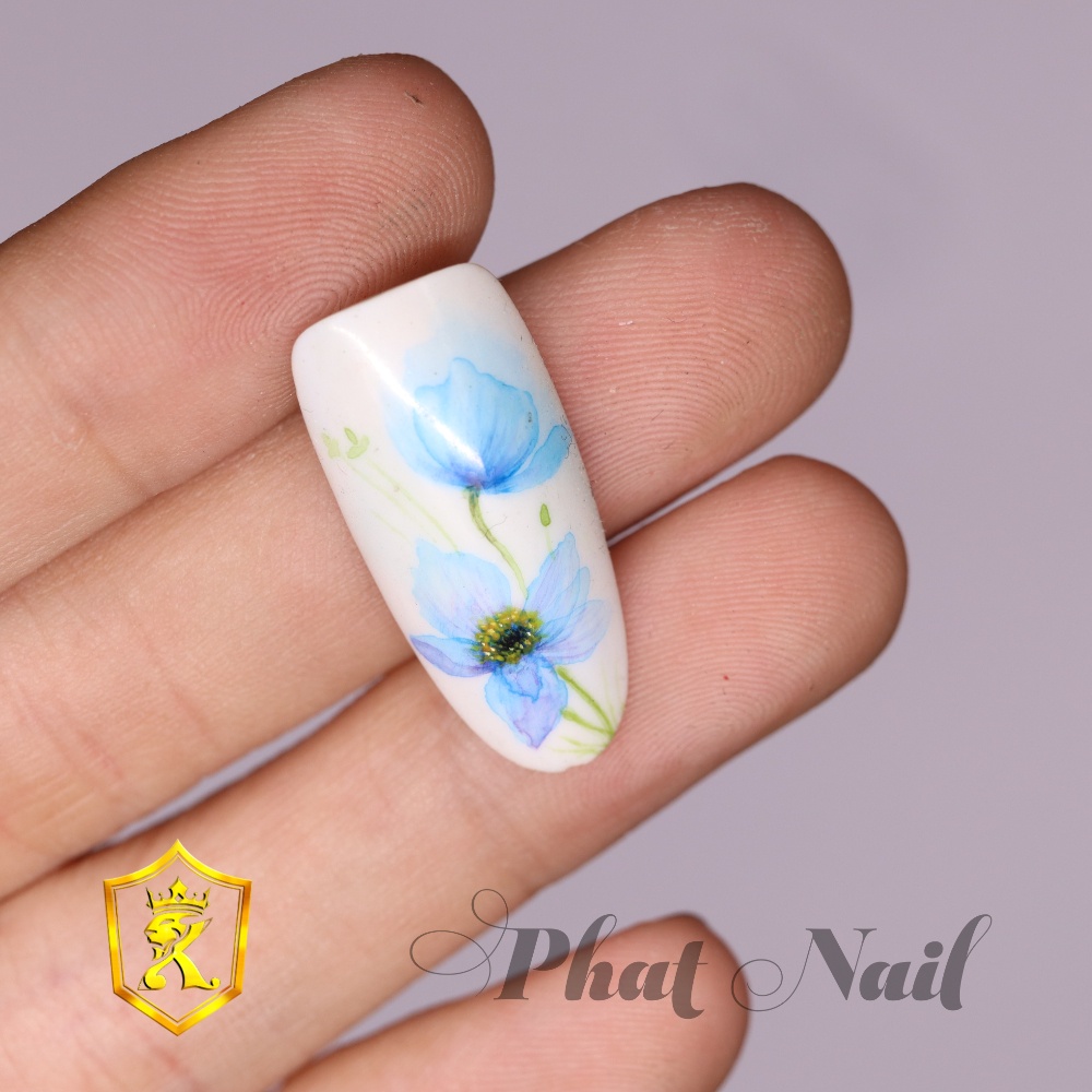 Set 10 vỉ móng vẽ mẫu cho salon