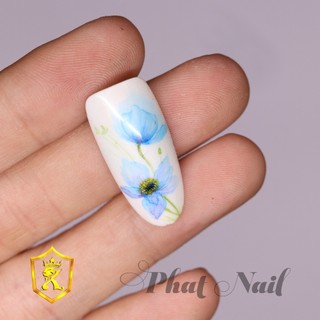 Set 10 vỉ móng vẽ mẫu cho salon