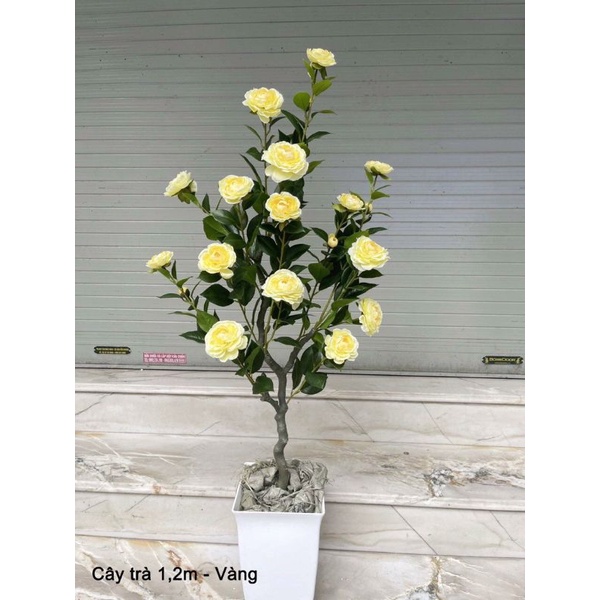 Gốc Cây Giả, Thân Cây Giả - cao 80- 120 cm- Làm cây giả. trang trí nhà cửa.