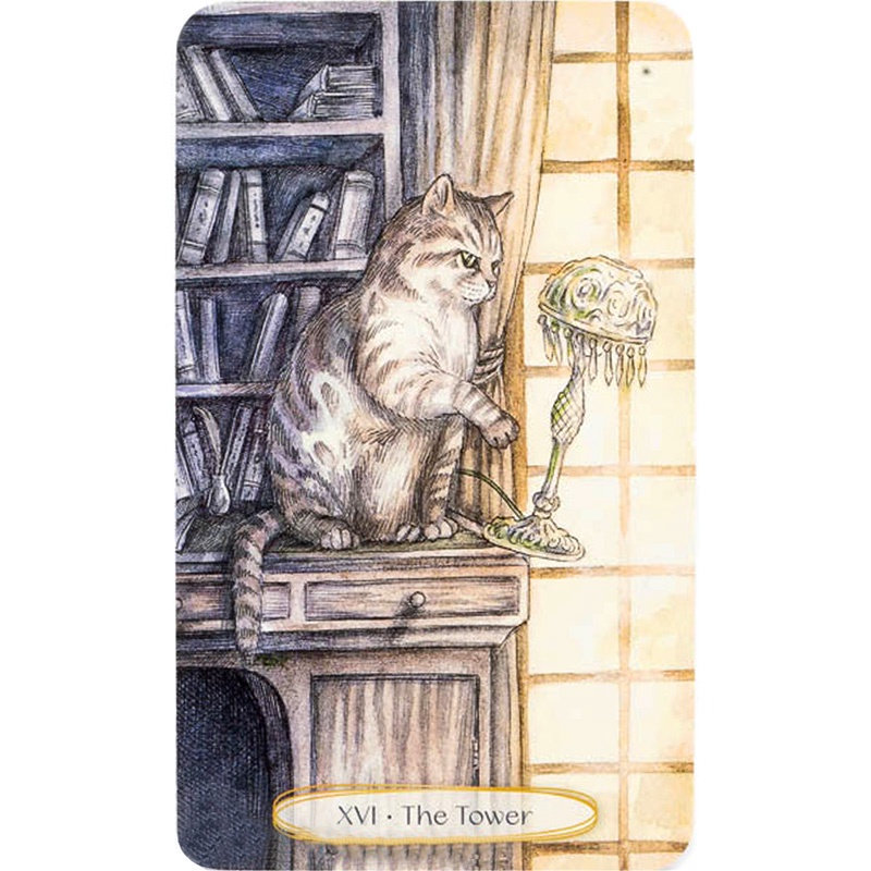 Bộ Bài Soul Cats Tarot  - Bài Gốc Authentic Chính Hãng 100%