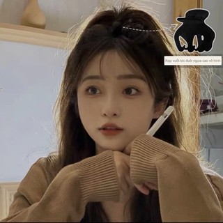 SET 5 CHIẾC CẶP ĐUÔI NGỰA HOTGIRL