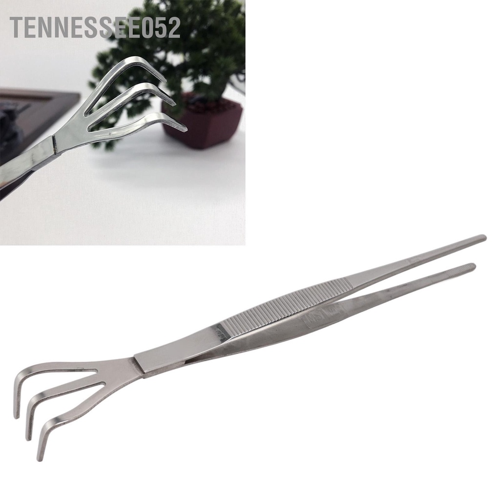 Tennessee052 Cào gốc bằng nhíp 3 chấu thép không gỉ nới lỏng đất Dụng cụ trồng cây cảnh với tay cầm tiện dụng