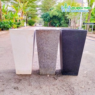 Các mẫu chậu thanh lý