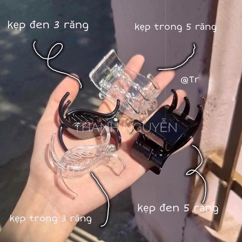 Set 12 Kẹp Tóc Càng Cua 3 Răng
