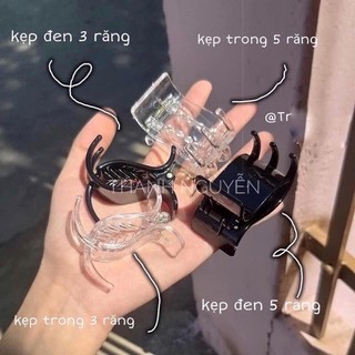 Set 12 Kẹp Tóc Càng Cua 3 Răng(Cánh Vuông/6 Đen 6 Nâu)