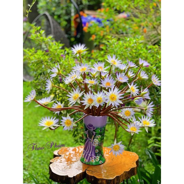 Bình hoa cô gái màu tím vẽ sơn 3d đẹp xuất sắc