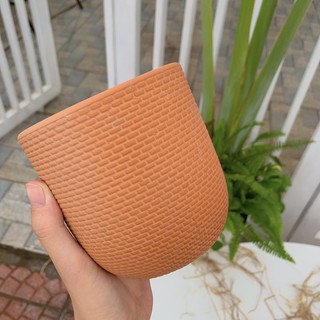 Chậu đất nung trồng cây vân nổi đủ size