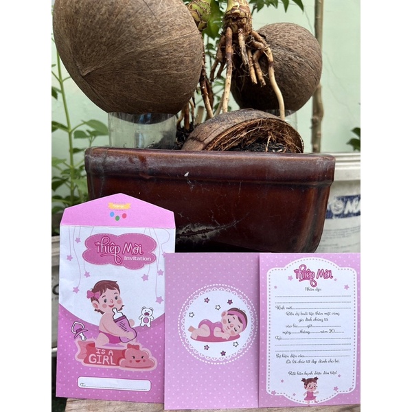 Combo 20 thiệp mời thôi nôi, đầy tháng bé gái cute