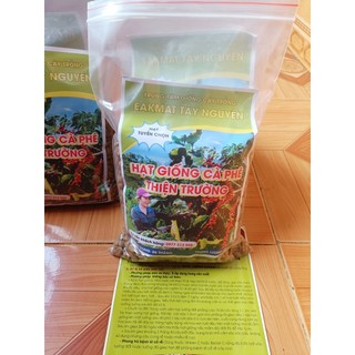 Hạt giống cà phê Thiện Trường cao sản - Túi 500 gram