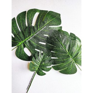 Lá rùa trang trí chụp ảnh, cắm hoa (Loại dày đẹp)