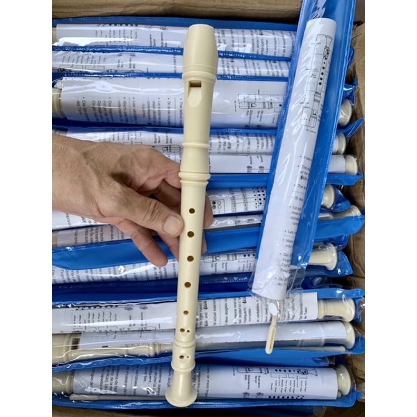 30 SÁO 8 LỖ MÀU TRẮNG TN