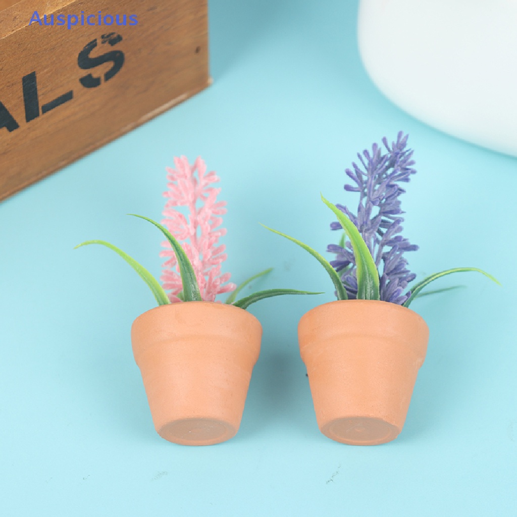 Mô Hình Chậu Hoa Oải Hương Mini Tỉ Lệ 1: 12 Trang Trí Nhà Búp Bê