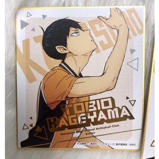 Tranh bìa cứng Shikishi Kageyama Tobio Chàng khổng lồ tí hon Haikyuu