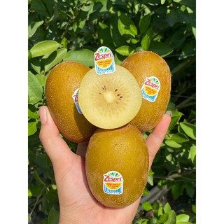 Kiwi Vàng New Zealand 2 trái