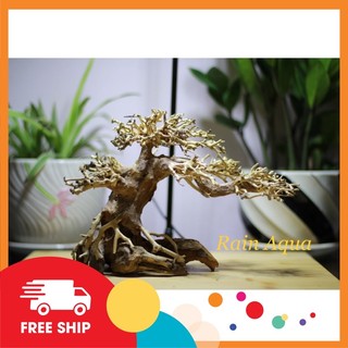 cây lũa bonsai dài 23cm, cao18cm (tặng kèm 1 tuýp keo dán cây)