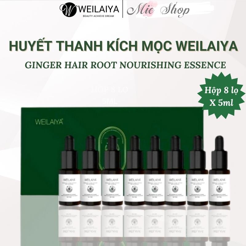 Weilaiya, Huyết thanh mọc tóc weilaiya Ginger Hair Root Nourishing Essence Serum chống rụng kích mọc và làm dày tóc