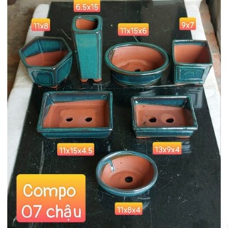 compo 07 chậu trồng cây mini gốm bát tràng