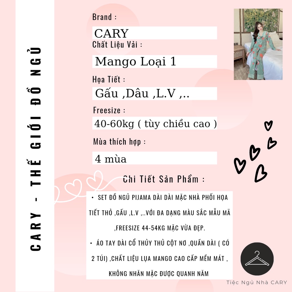 Bộ lụa tay dài quần dài hình mặc nhà cao cấp CARY