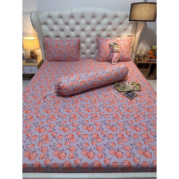 Bộ 4 ga/drap áo gối THUN SIÊU LẠNH THÁI LATICO