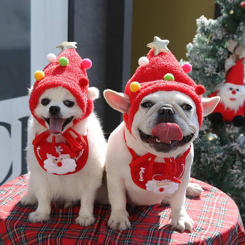 Pet quần áo Giáng sinh Mũ gạc dễ thương yếm cho chó mèo ăn mặc quần áo mùa thu và mùa đông Phụ kiện thú cưng