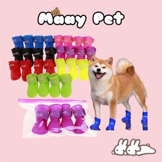 Giày dành cho chó mèo, giày đi mưa dành cho thú cưng