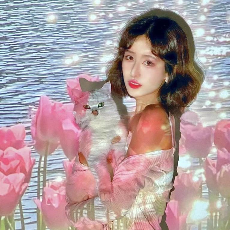 Máy chiếu phông chụp ảnh, máy chiếu phông sinh nhật Happy birthday Siêu Dễ Thương