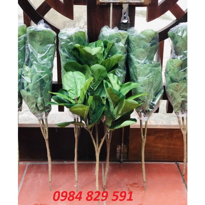 Cây giả - Cây bàng Singapore 3 nhánh, 25 lá to-trang trí nhà cửa