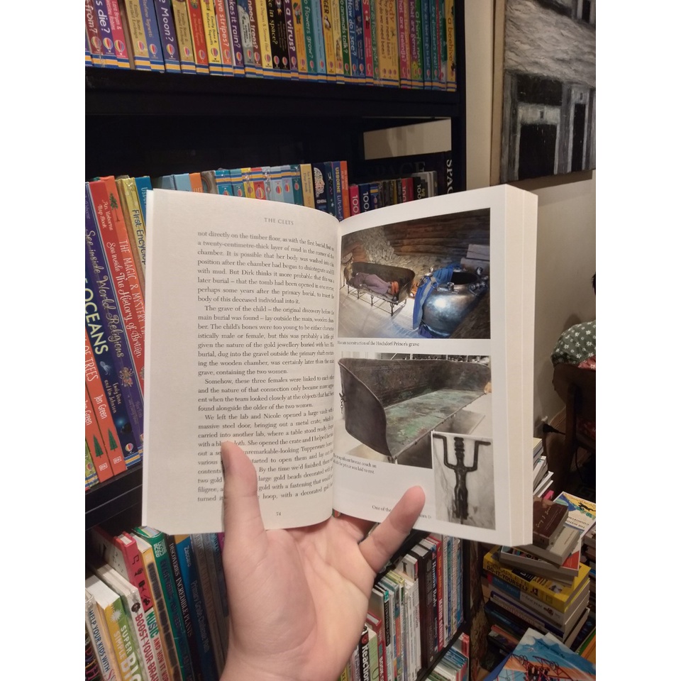 Sách - The Celts Search for a Civilization