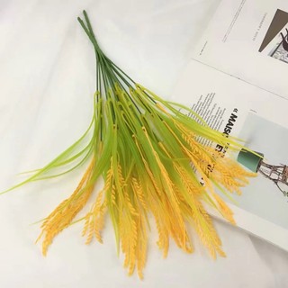 Cây giả trang trí treo tường, cắm chậu - Cây vạn thiên thanh - Cây chuối - Cây lúa - Cây dương xỉ - Dây rũ (k kèm chậu)