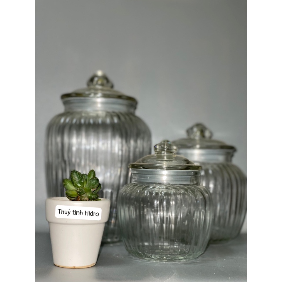 Hũ thủy tinh sọc có nắp nút kín 650ml 1250ml 2200ml chất liệu thuỷ tinh cao cấp dùng đựng đồ khô, muối dưa
