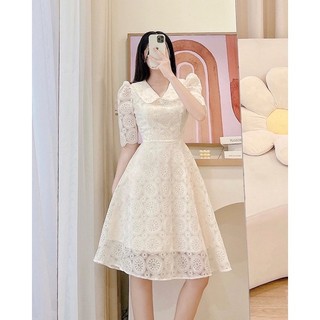 Đầm ren tay dài cổ sen 2 màu