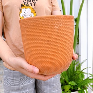 Chậu đất nung trồng cây vân nổi đủ size