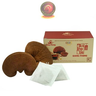 Trà linh chi túi lọc Giang Phong - Trà túi lọc hộp 30 túi x 2gram