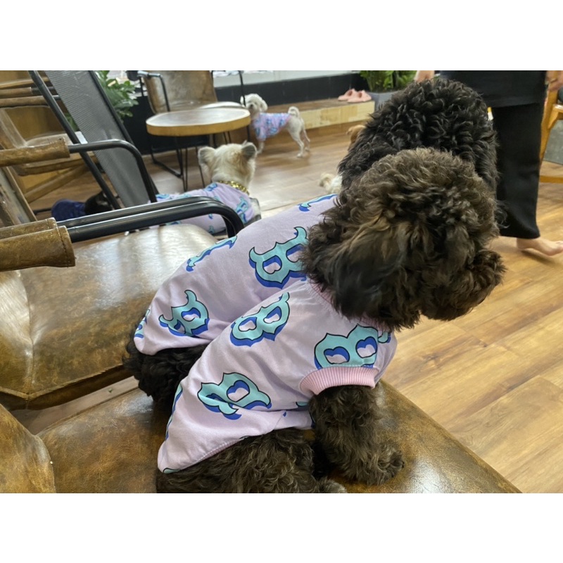 Áo Boston Tím cho thú cưng