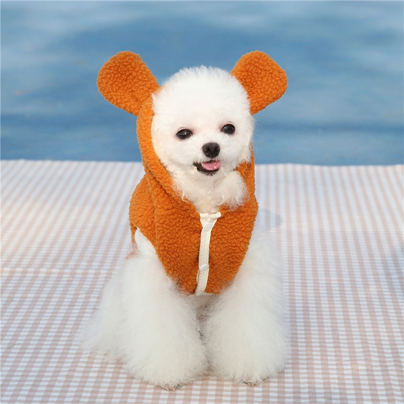 Áo hoodie HIPIDOG giữ ấm mùa đông in họa tiết gấu teddy hoạt hình dễ thương dành cho thú cưng